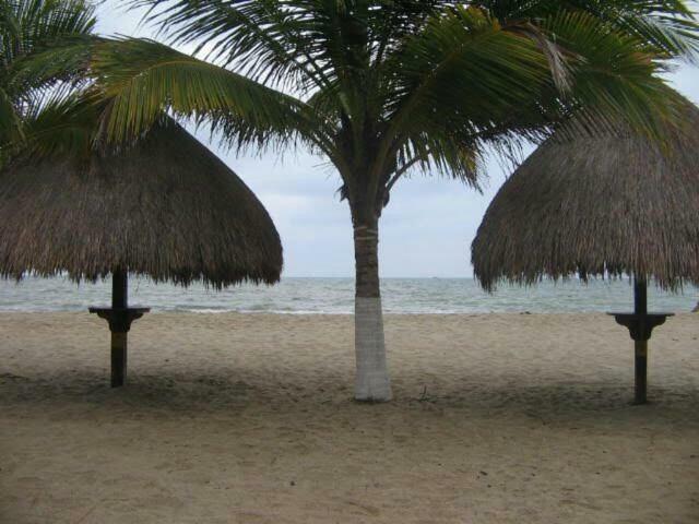 Punta Bolivar *